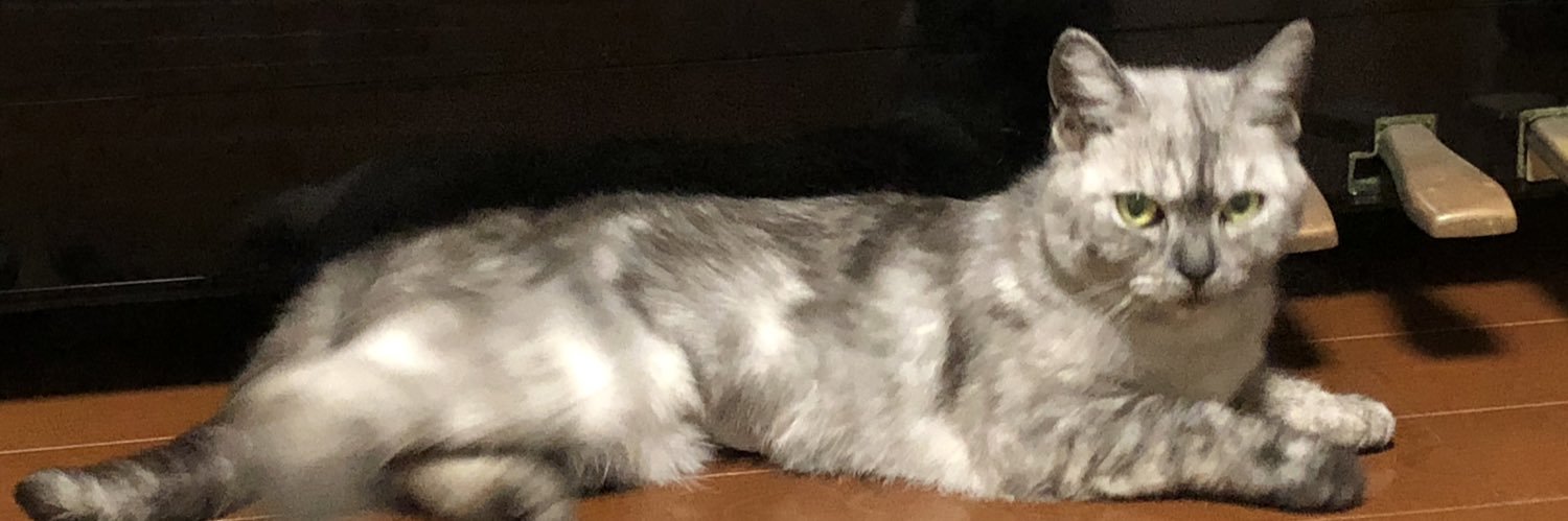 くっこさん's banner