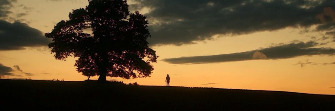 RileyRozak's profile banner image