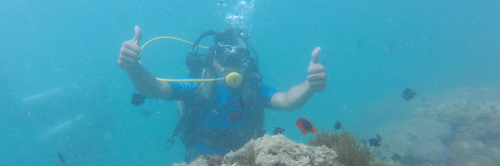 Jitendra Bapna banner