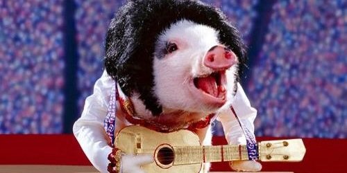 betito_'s profile banner image