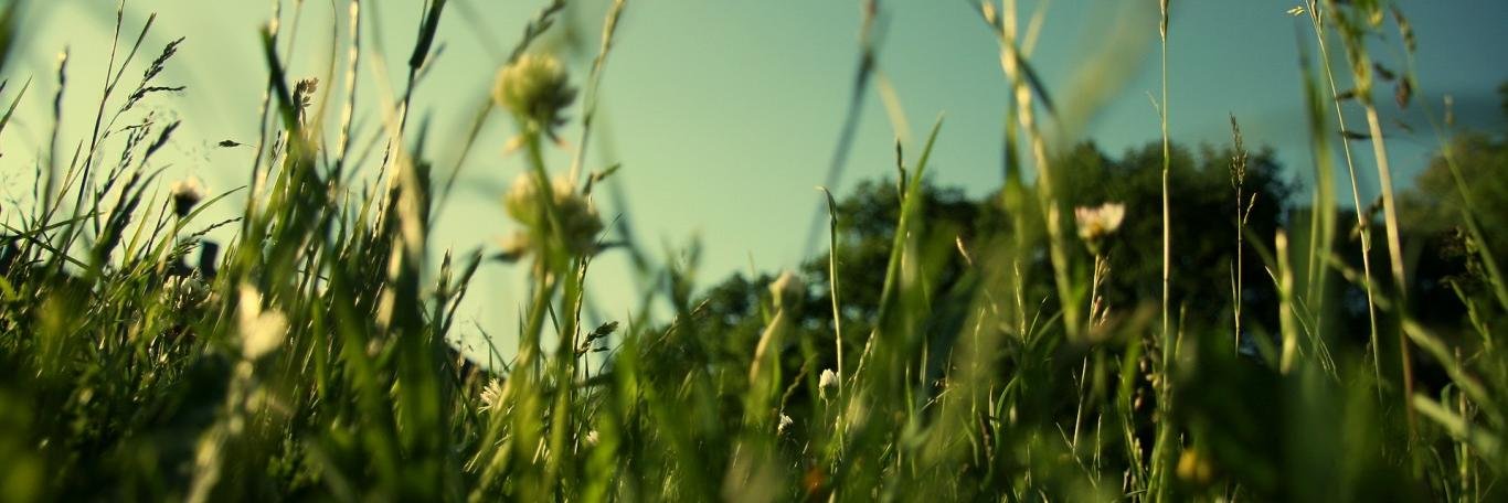 kahirul's profile banner image