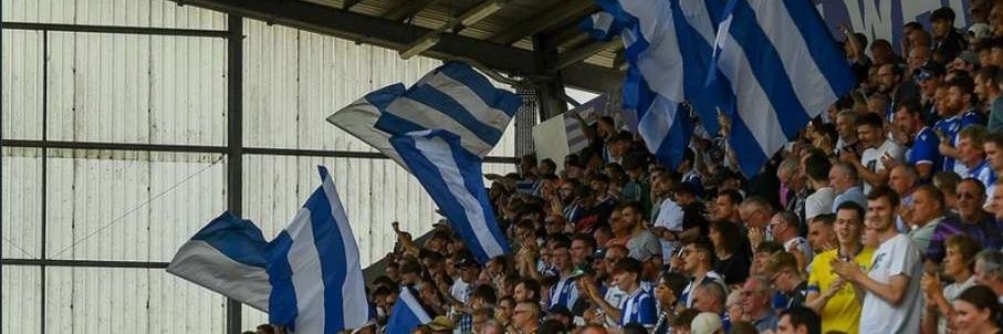 Adam banner