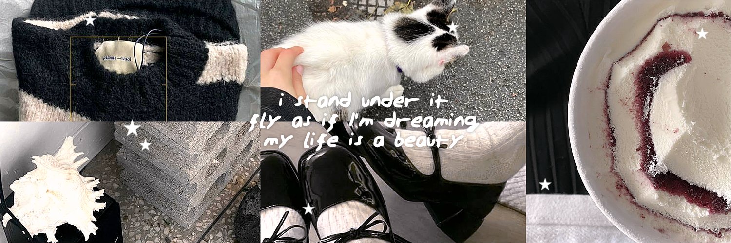 ୨ 𝐦𝐨𝐛𝐜𝐡𝐢𝐞 ୧ • mt after dm • banner