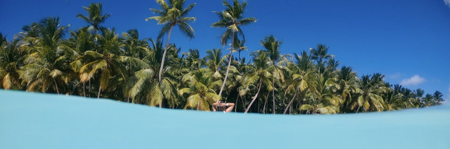 FaPintos's profile banner image
