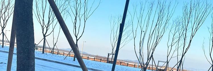 まいか banner