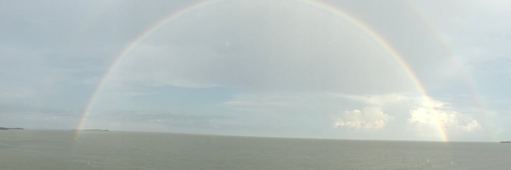 DrMU22's profile banner image