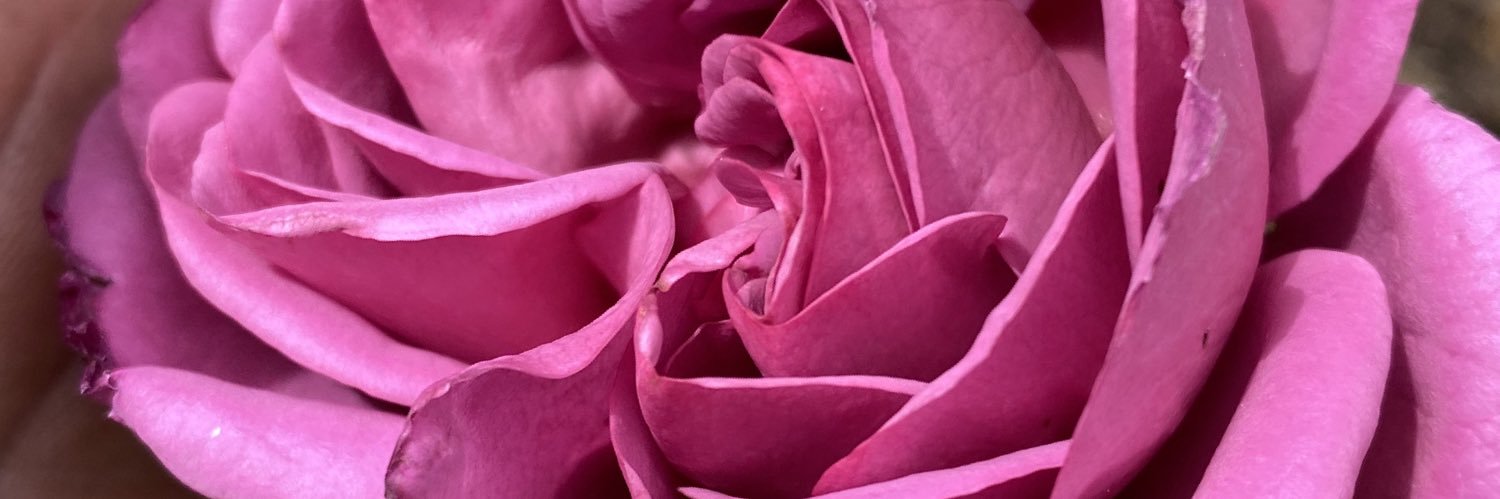 delightedps37's profile banner image