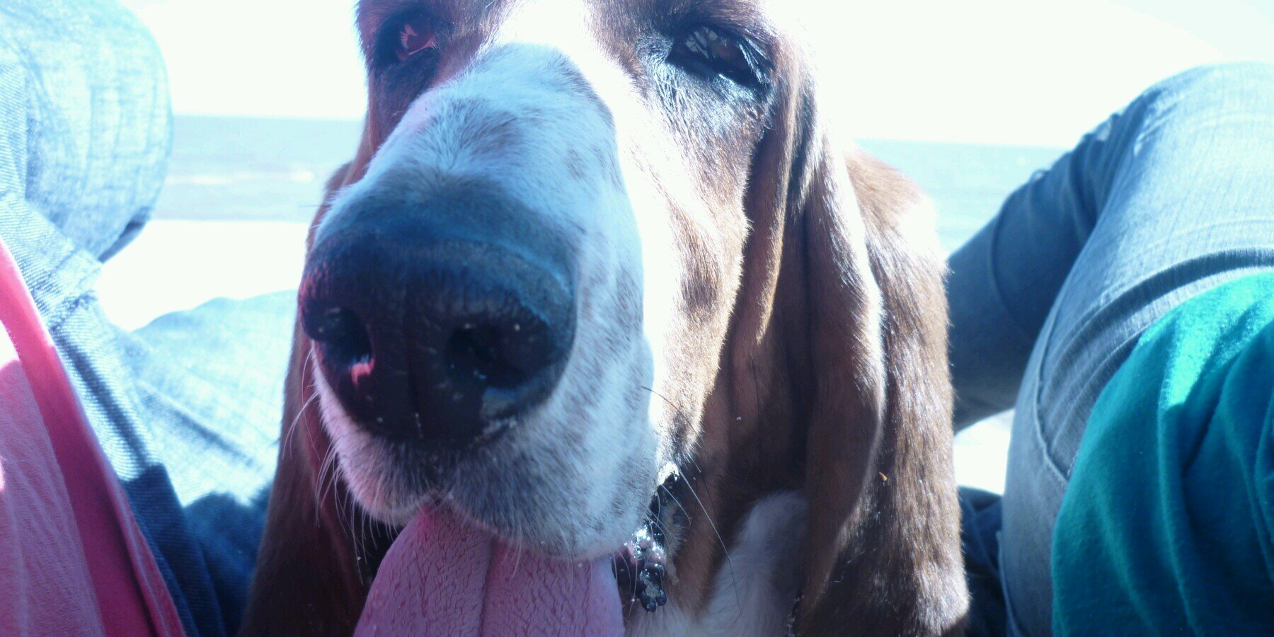 Sebastian Camacho banner