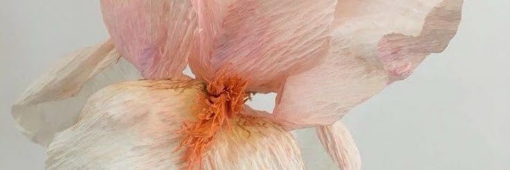 mesa🏀🏊‍♀️🐑🛒🌷 banner