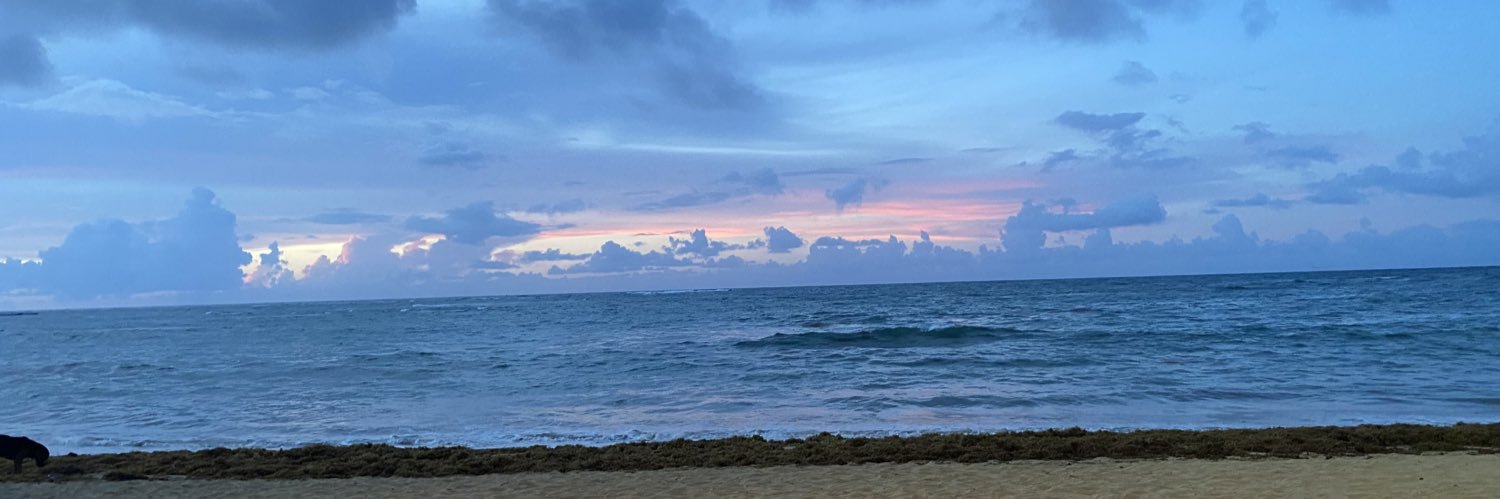JasmineDessens's profile banner image
