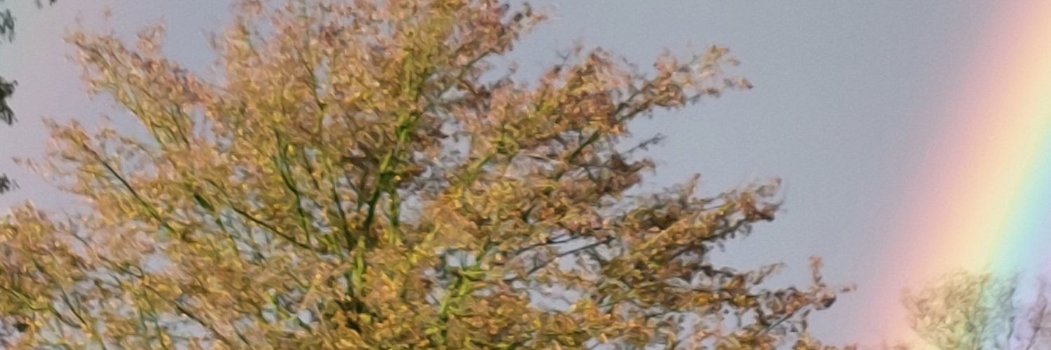 tetty9291's profile banner image