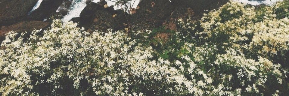 Yuliana Belova banner