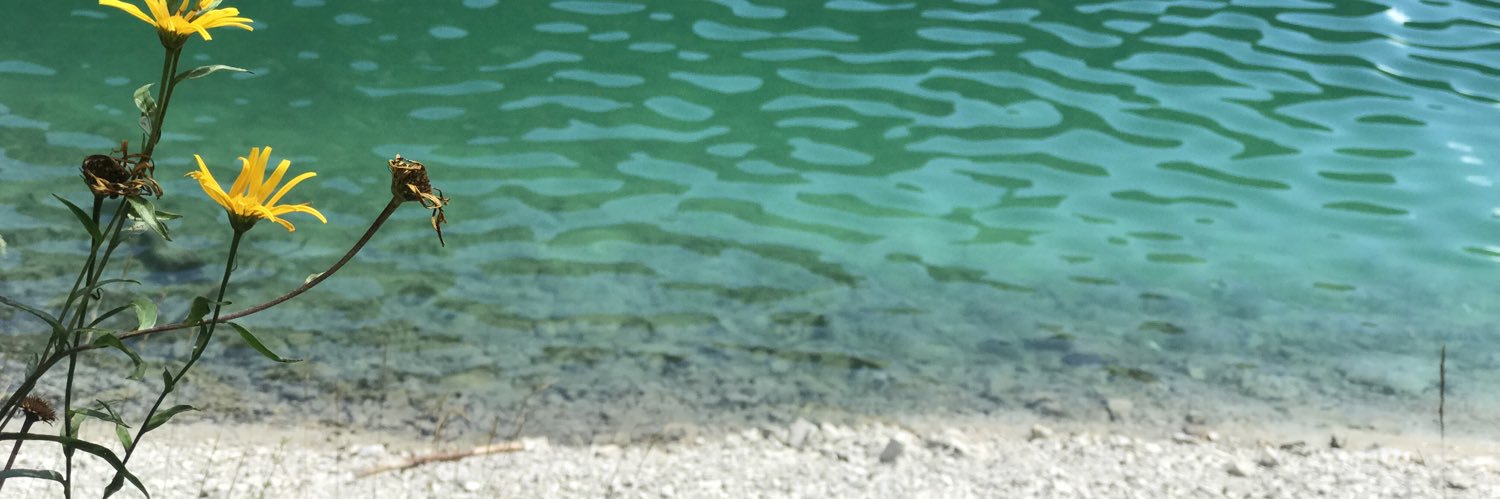 You can also find me at @m-azzolini.bsky.social banner