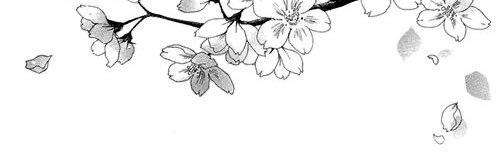 bay banner
