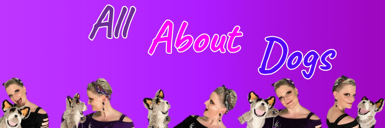 All About Dogs banner