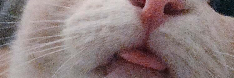 kels0clock's profile banner image