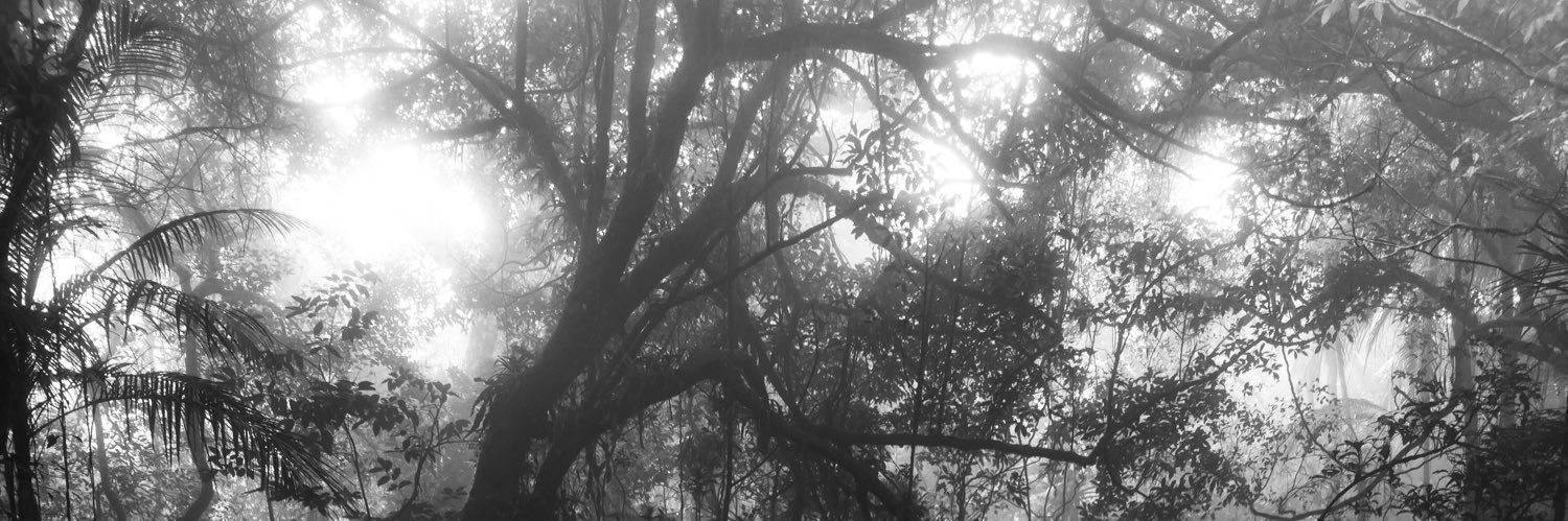 𝔼𝐋𝐎𝐑𝐀. banner
