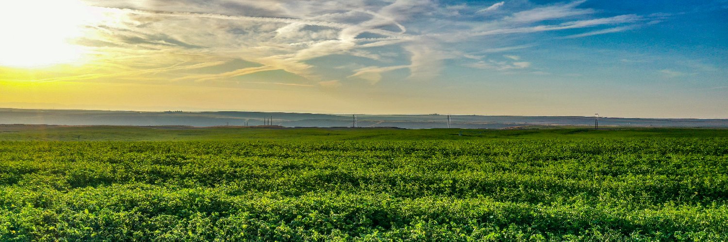 css_farms's profile banner image