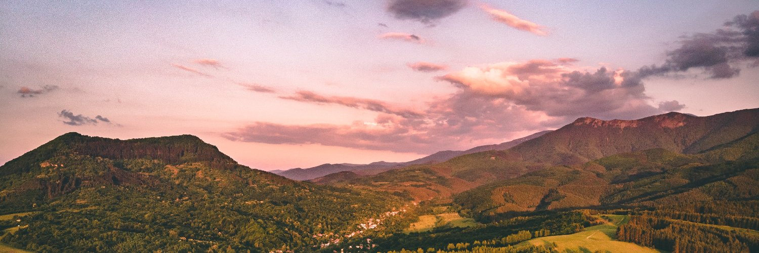 mutxlabs's profile banner image