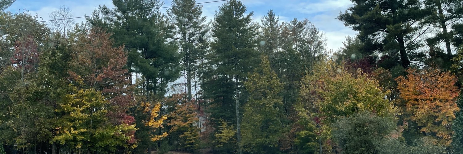 AmySnively's profile banner image