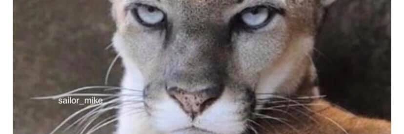 TANDYVZ's profile banner image