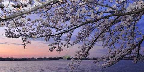 Lucynegrete's profile banner image