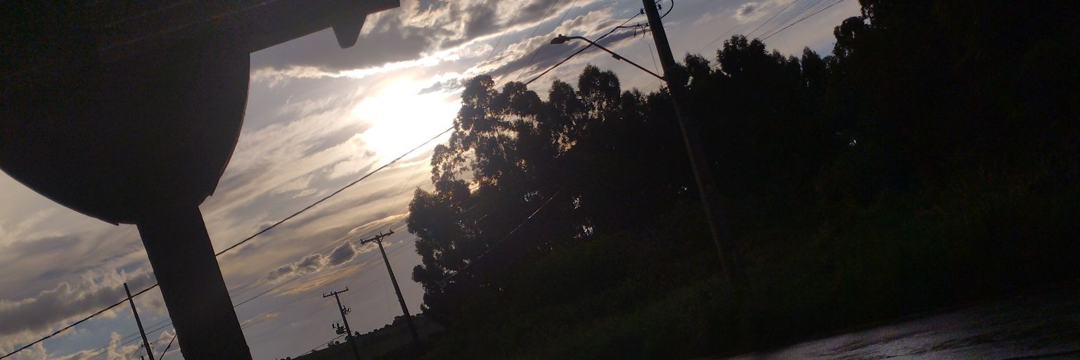 Endryk Rodrigues banner