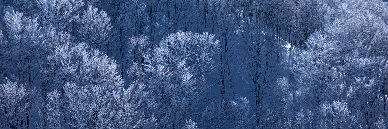 tarokensnow's profile banner image