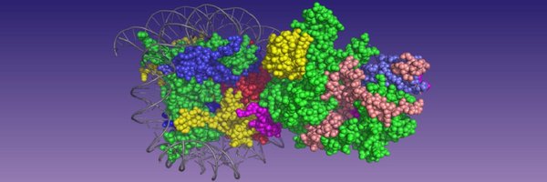 JHU_Mol_Biophys Profile Banner