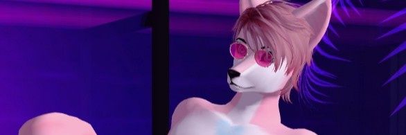 CottonBallFox's profile banner image