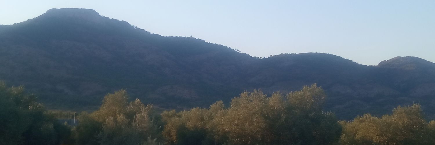 El Tito Sequi banner