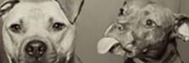 antonyilly's profile banner image