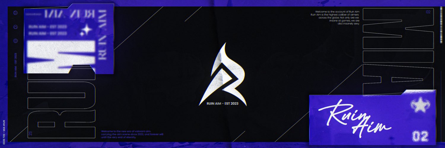 Ruin Aim banner