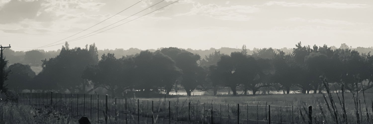 Marli Wentzel banner