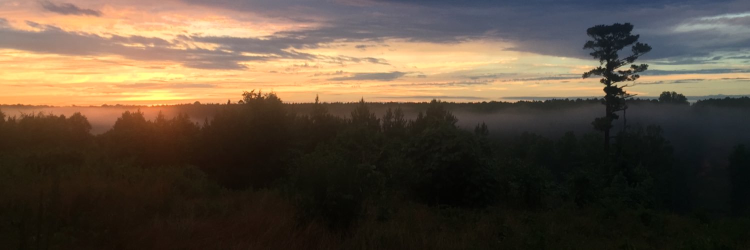SarahGrizzle's profile banner image
