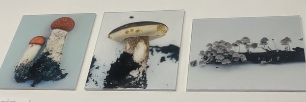 teethgnashing Profile Banner