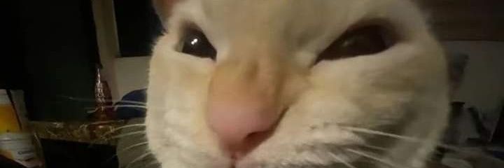 anon69801654's profile banner image