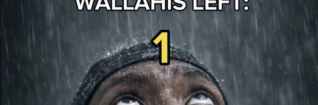 foliarzjeb's profile banner image