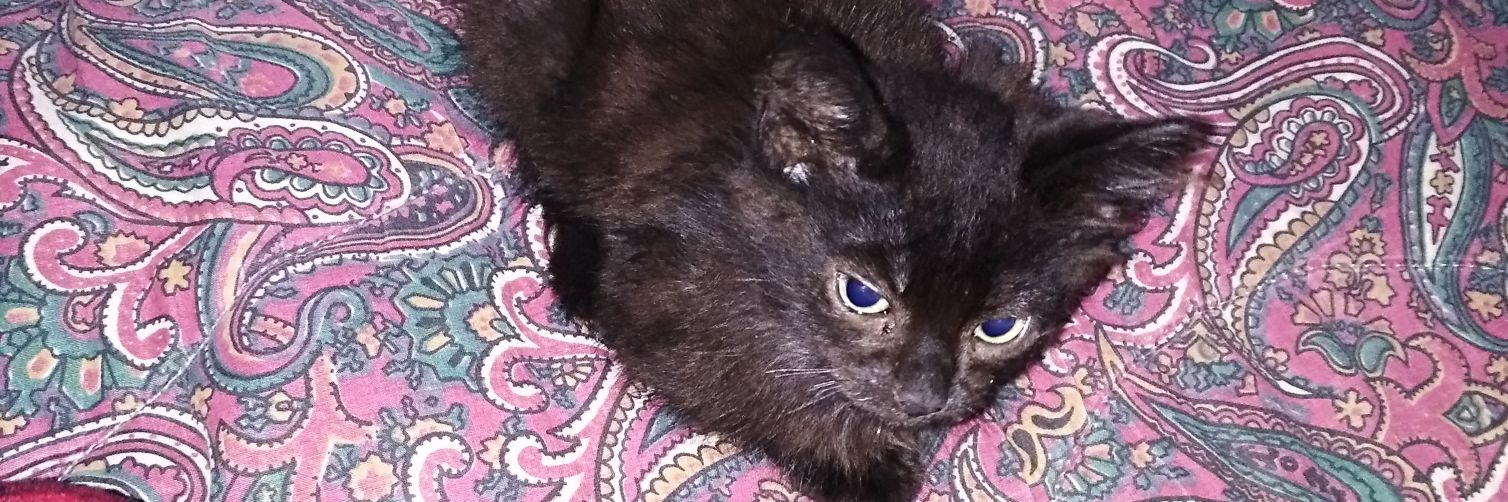 villo13's profile banner image