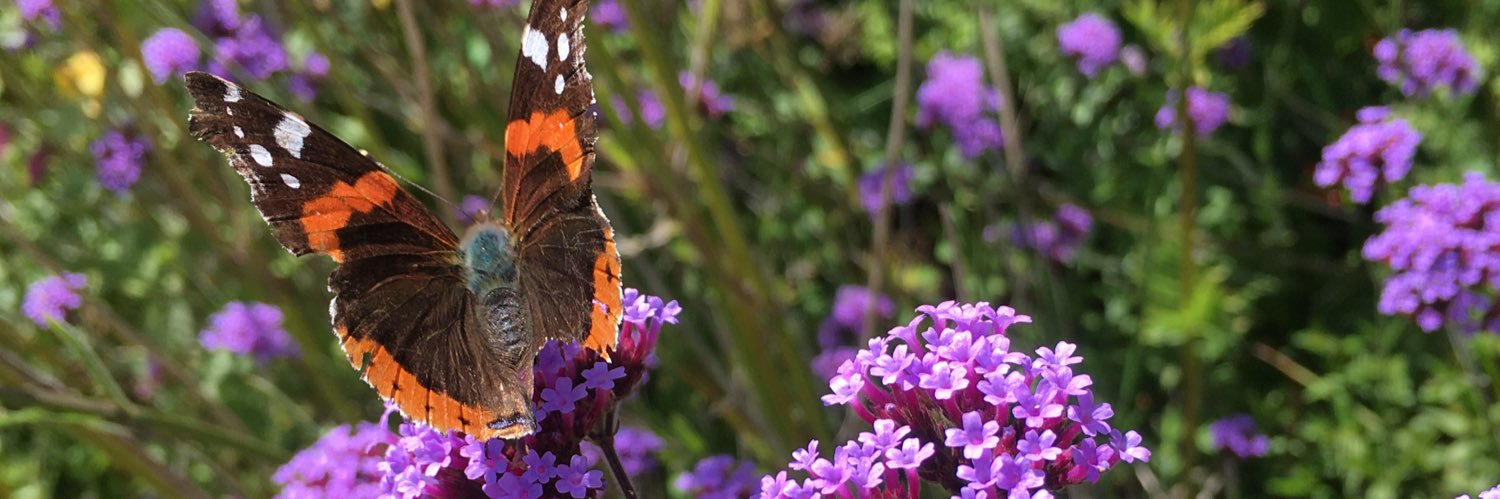Richard Harris banner