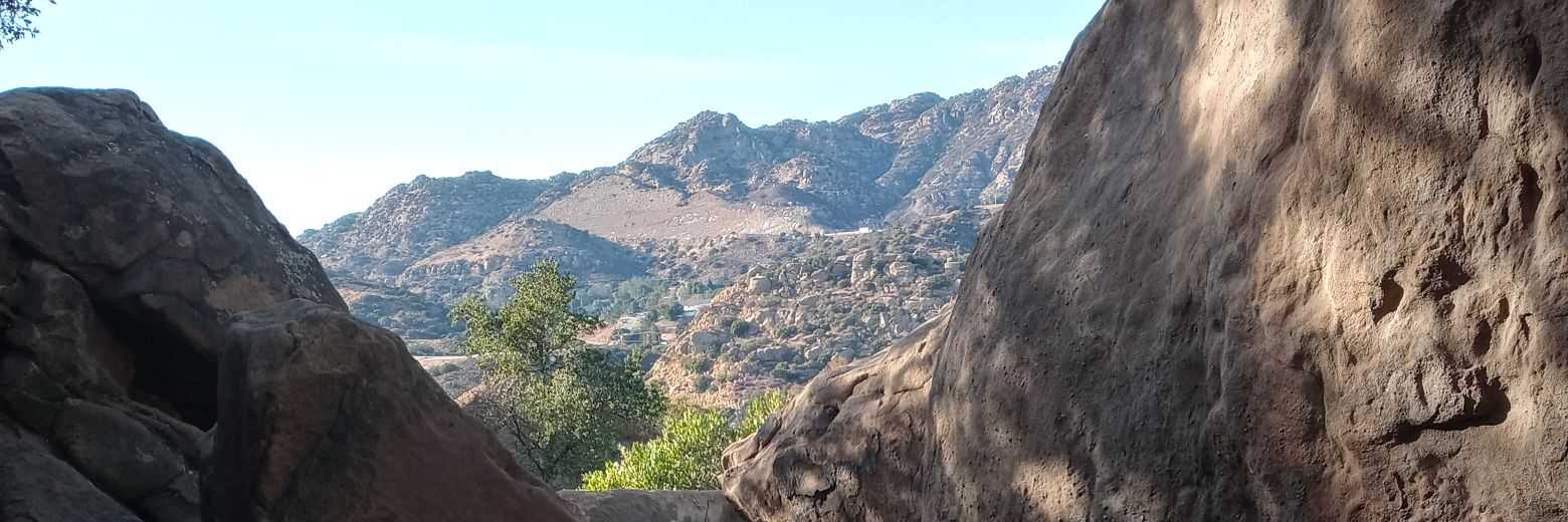 Maddogg2020 banner