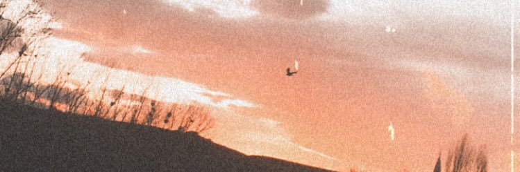 ZerSez's profile banner image