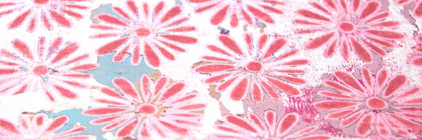 clikchic Profile Banner