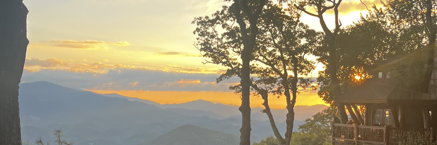 MalNoelleMD's profile banner image