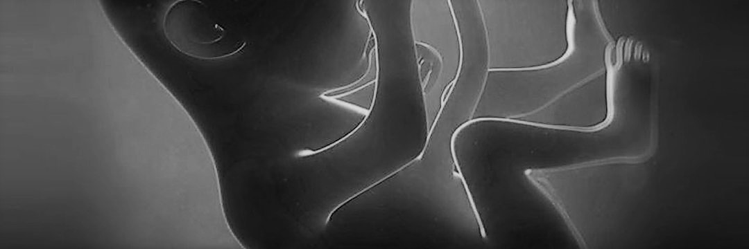 HomoErectial's profile banner image