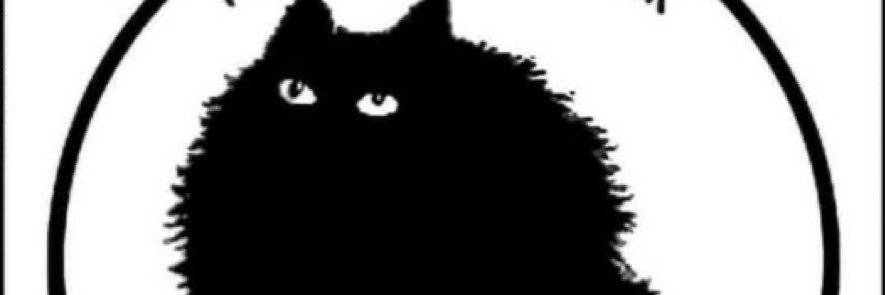 Strega Noni 😹 Prima di Tutto 💕Capitan Ovvietà 💙 banner
