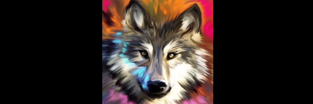 Laura L'Ammoux banner