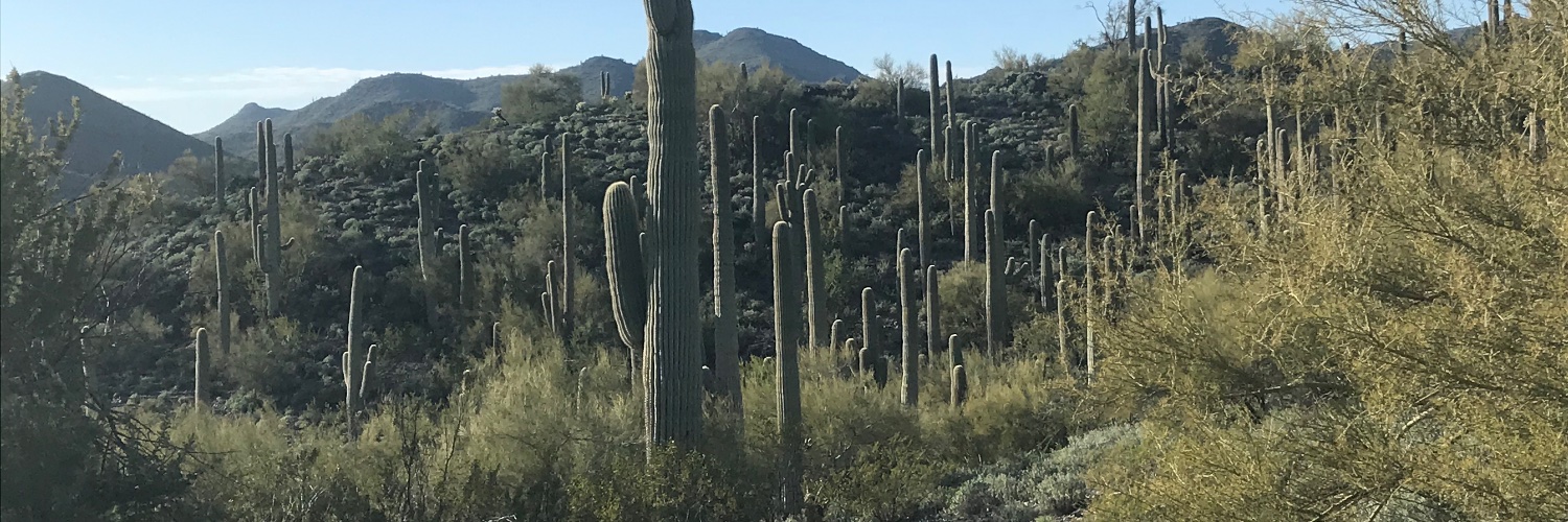 adl0107 🇺🇸 banner