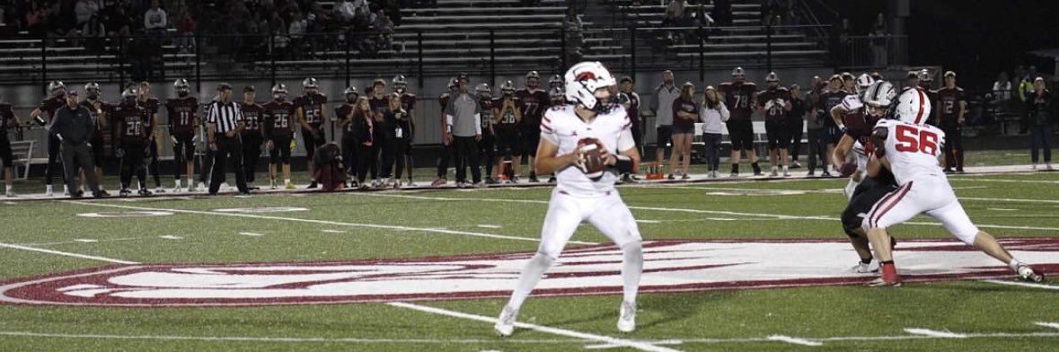 Quinn Schultz banner