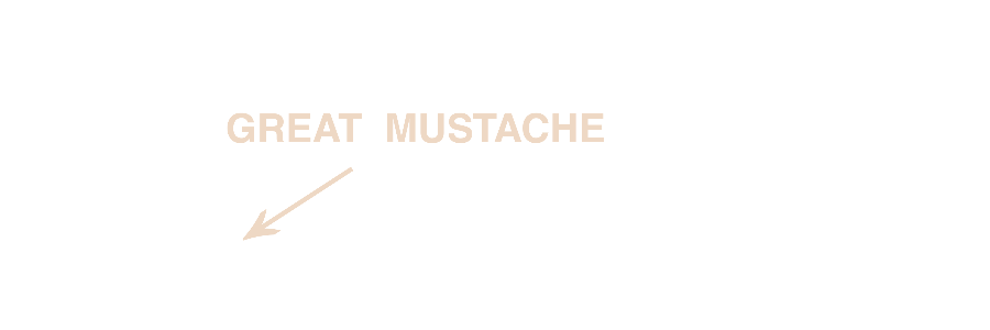 ‍𝗖𝗢𝗠𝗣𝗔𝗡𝗬 丶 𝗠𝗔𝗡 . banner